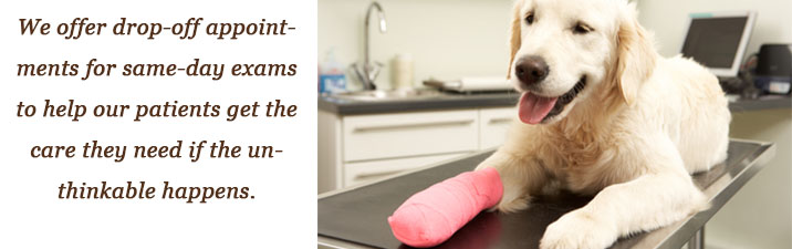 Lake Shore Animal Hospital Lake Shore Animal Hospital